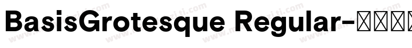 BasisGrotesque Regular字体转换